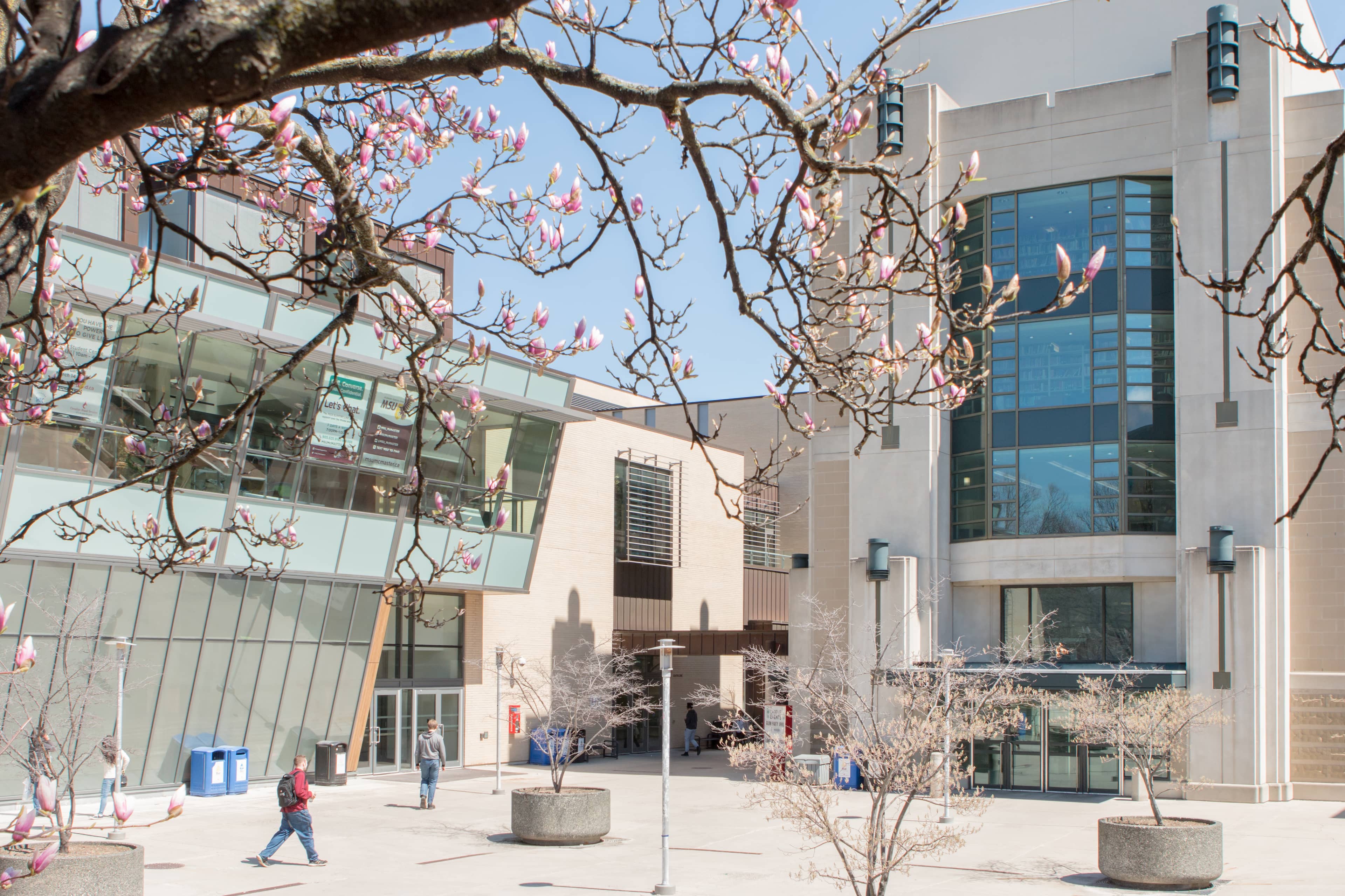 McMaster PhD Funding 2027: Fully Funded for Indian Students