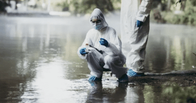 Top universities for environmental sciences