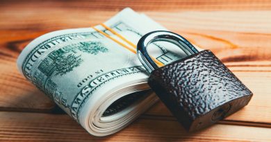 Digital security interface protecting student financial aid applications