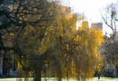 University of Cambridge historic college buildings and grounds