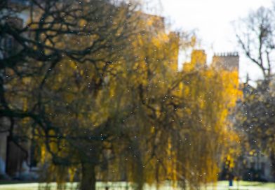 University of Cambridge historic college buildings and grounds