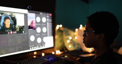 Young student engaged in educational gaming on computer