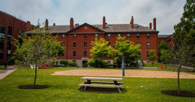 Harvard University historic campus with red brick buildings and autumn leaves