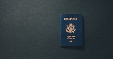 US F1 student visa passport and application documents